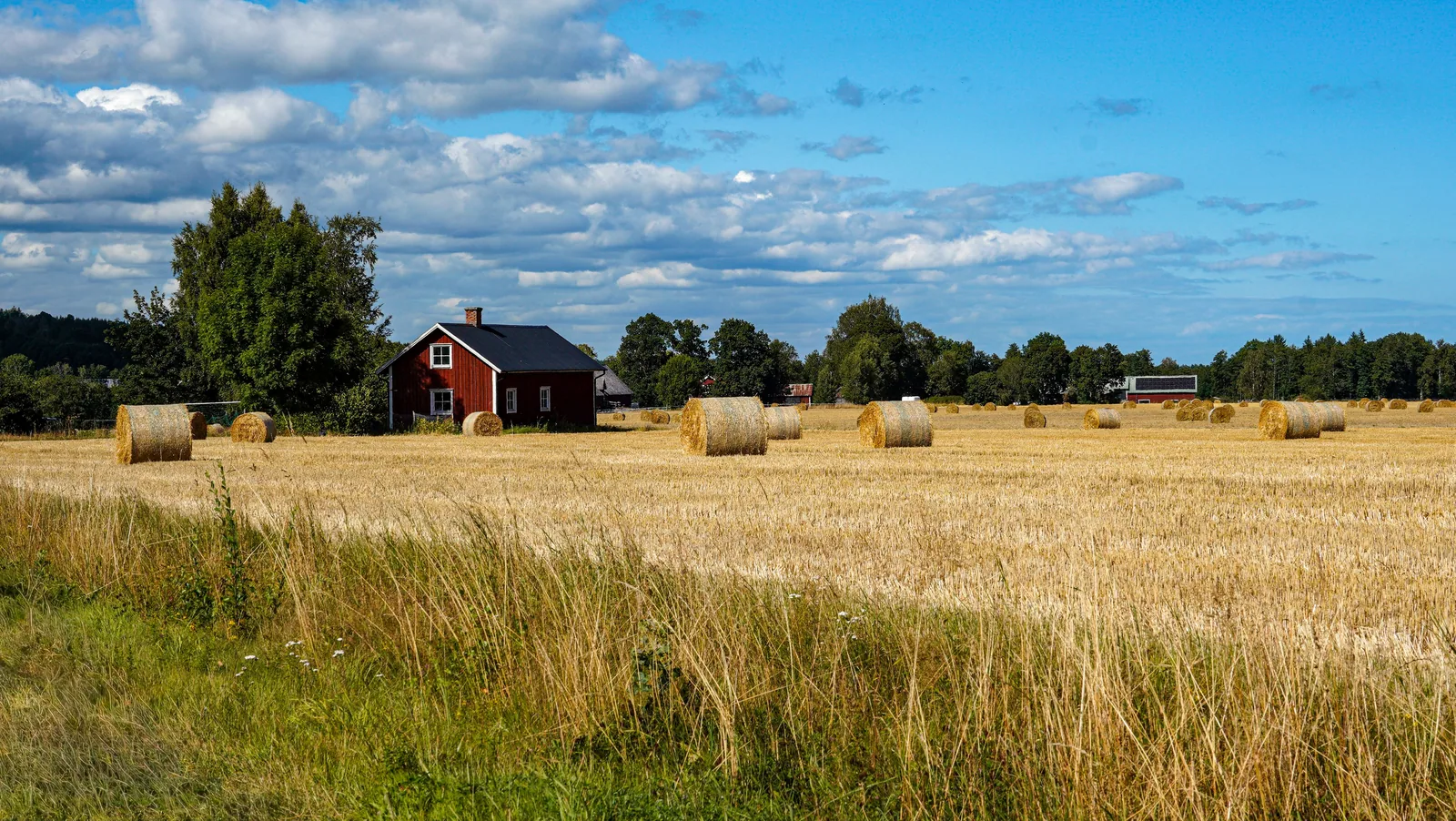 Österlen i juli: en långhelg för mogna par som vill komma nära utan att överdriva